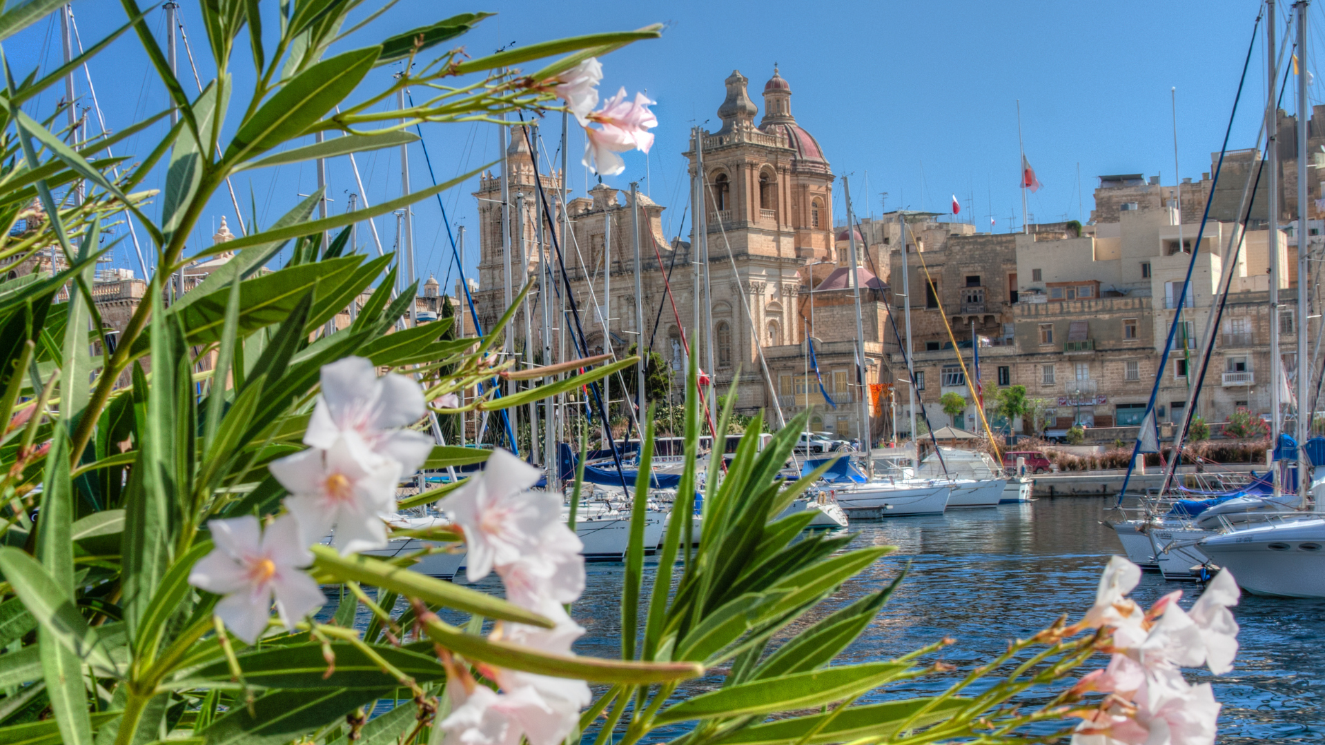 White and Green Modern Quotes Desktop Wallpaper (24)